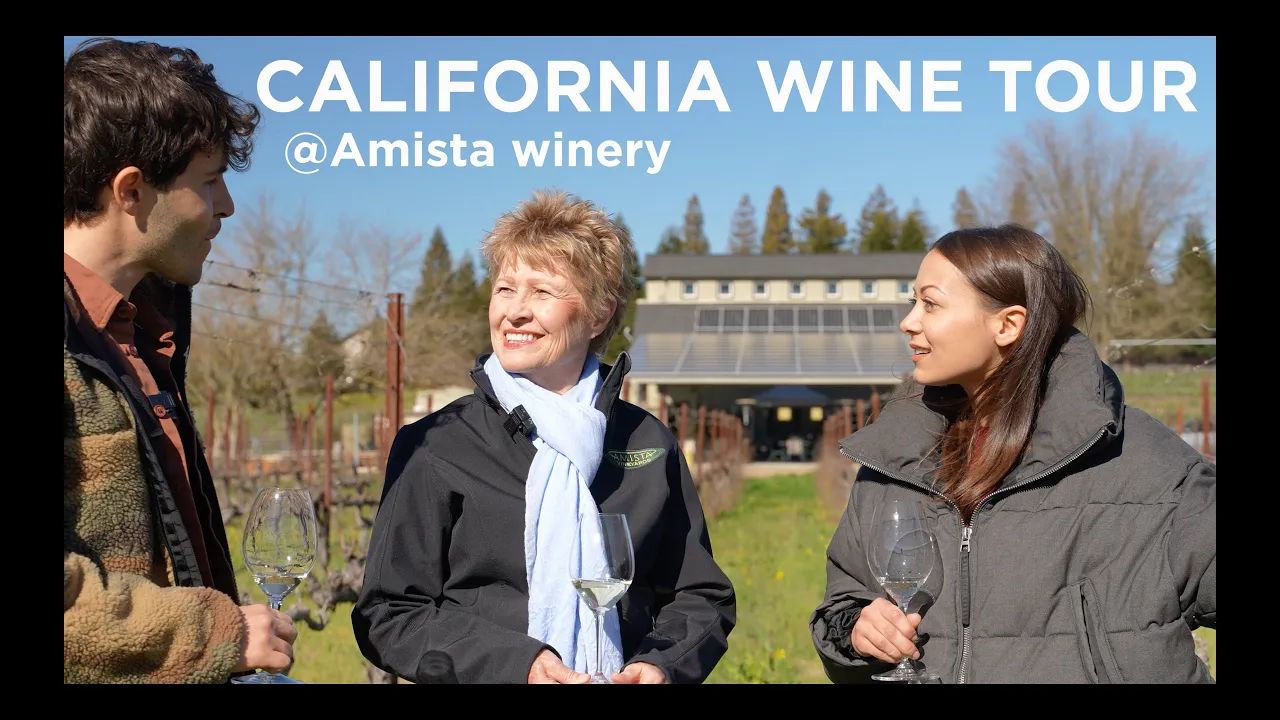 We visited Amista winery in Sonoma County