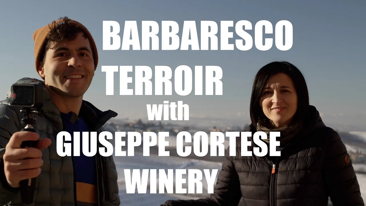 Describing the Barbaresco terroir