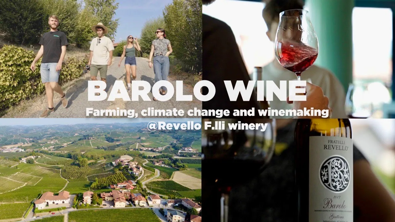Barolo with Fratelli Revello winery
