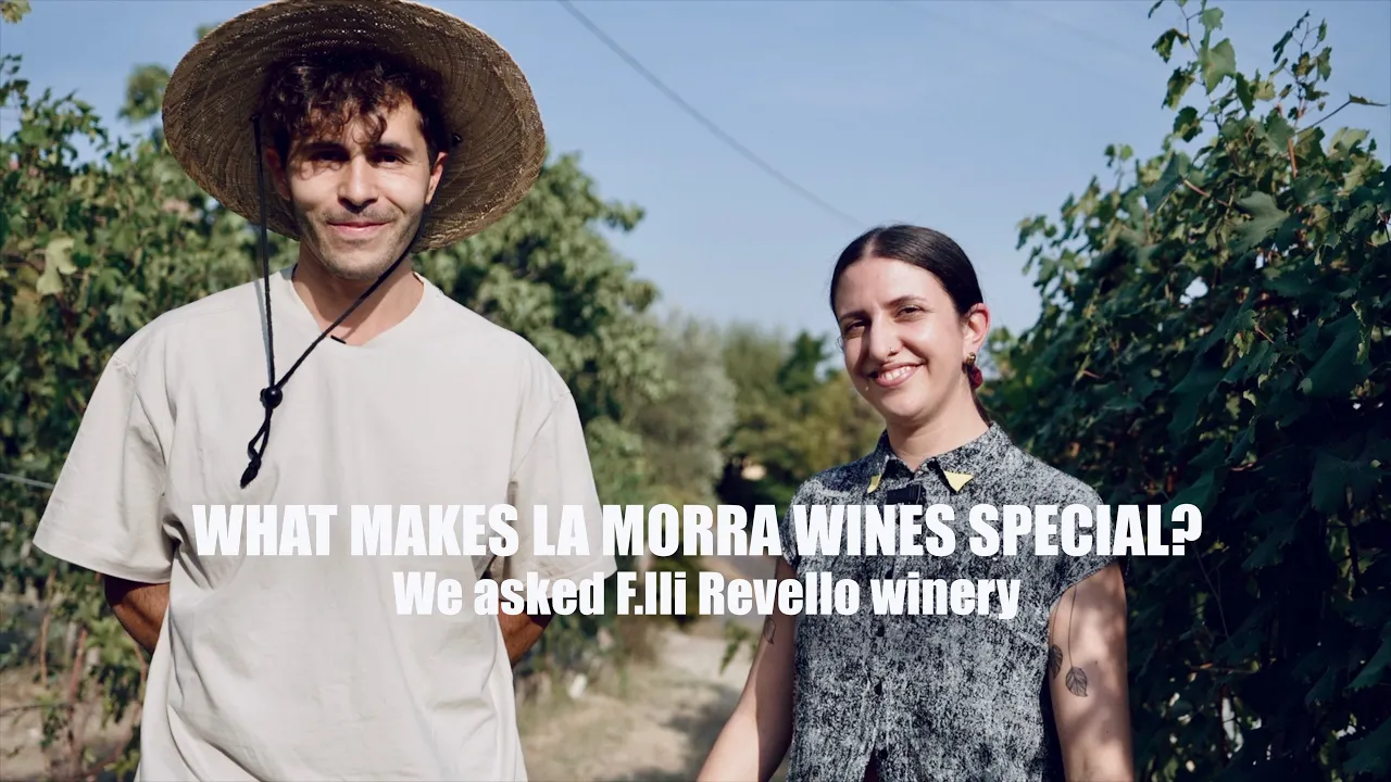 Barolo wines from La Morra Fratelli Revello winery