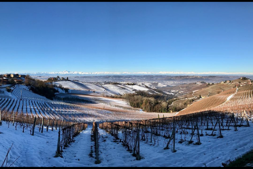 Snow in Langhe! Big news: Oneonthehill Wine Club